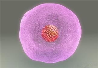 女性結扎扎的是哪里 女性結扎后卵子去哪兒了