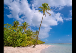 今日夏至到了說說句子 夏至到心情正能量句子