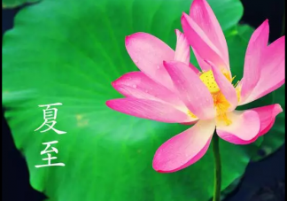 2019年夏至出生的寶寶好嗎 夏至出生的寶寶怎么取名