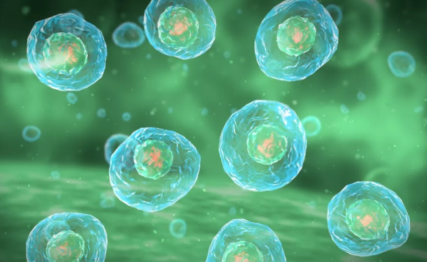 有排卵不懷孕怎么回事 有排卵不懷孕是什么原因