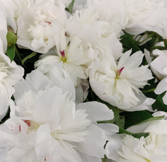 贊美三亞風景唯美句子 三亞旅游感悟唯美句子 