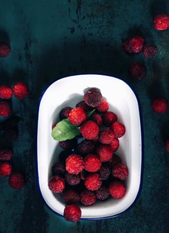 楊梅里面有蟲可以給孩子吃嗎 孩子吃楊梅有什么好處