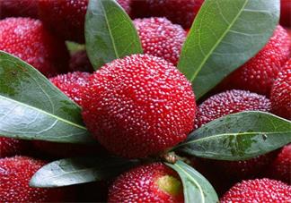 楊梅怎么洗里面沒有蟲 楊梅正確清洗方法