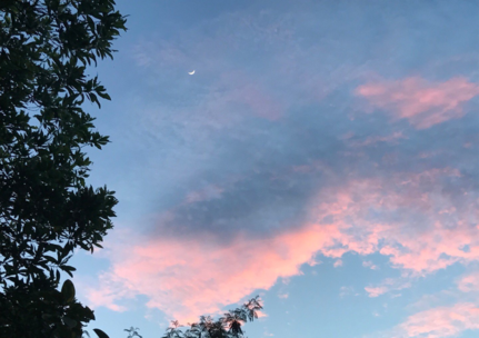 去海邊曬黑的幽默搞笑心情 海邊曬黑了搞笑朋友圈 去海邊曬黑的幽默搞笑心情 海邊曬黑了搞笑朋友圈