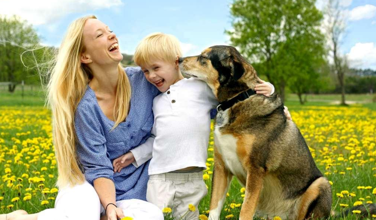 孩子兩歲多吃飯不愛用餐椅還吃飯慢怎么辦 怎么改變孩子的這種情況 孩子兩歲多吃飯不愛用餐椅還吃飯慢怎么辦 怎么改變孩子的這種情況