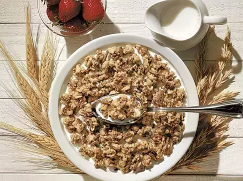 哺乳期吃燕麥會回奶嗎 哺乳期媽媽可以吃燕麥嗎 哺乳期吃燕麥會回奶嗎 哺乳期媽媽可以吃燕麥嗎