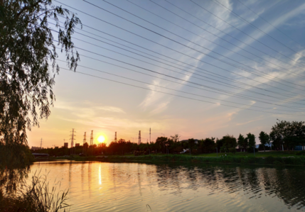 形容蟬鳴的優(yōu)美句子心情 描寫蟬鳴的憂傷說說朋友圈