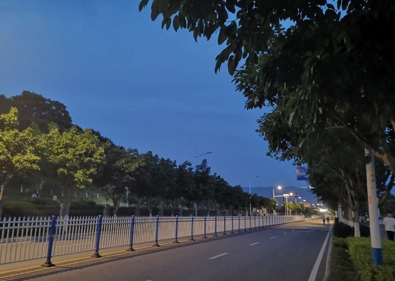 關于寫夏天晚上蟬鳴的句子 形容夏天蟬鳴的好句