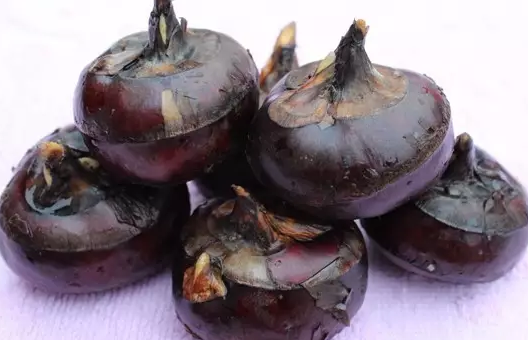 孕婦吃馬蹄容易流產(chǎn)嗎 孕婦吃荸薺是寒性水果嗎