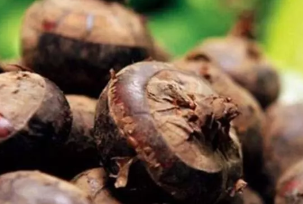 孕婦吃馬蹄容易流產(chǎn)嗎 孕婦吃荸薺是寒性水果嗎