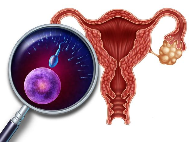 輸卵管上舉跳繩有用嗎 輸卵管上舉怎么治療