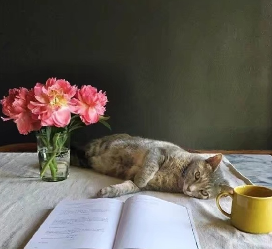 2019七月你好心情說說 迎接七月朋友圈句子 2019七月你好心情說說 迎接七月朋友圈句子