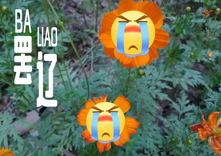 熱的睡不著心情煩躁說說 熱的睡不著的帶圖文字說說 熱的睡不著心情煩躁說說 熱的睡不著的帶圖文字說說