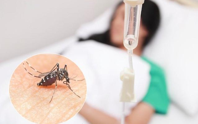 2019登革熱疫情消息 感染登革熱要做哪些檢查 2019登革熱疫情消息 感染登革熱要做哪些檢查