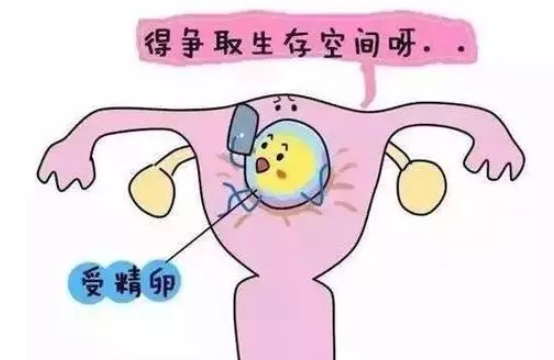 子宮內(nèi)膜太薄會不孕嗎 子宮內(nèi)膜薄有哪些癥狀