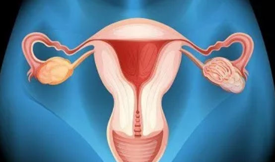 子宮內膜過薄帶來哪些影響 子宮內膜太薄怎么回事 子宮內膜過薄帶來哪些影響 子宮內膜太薄怎么回事