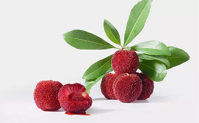 楊梅里為什么有白色蟲子 楊梅里的白色蟲子怎么清洗干凈 楊梅里為什么有白色蟲子 楊梅里的白色蟲子怎么清洗干凈