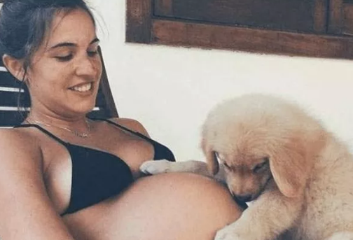 女性懷孕期間不能養貓嗎 女性懷孕養寵物要注意什么