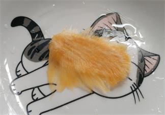 芒果核是干垃圾還是濕垃圾 芒果核是什么垃圾