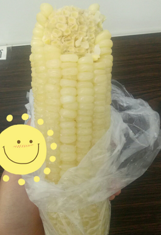 玉米棒是什么垃圾 玉米棒是濕垃圾嗎