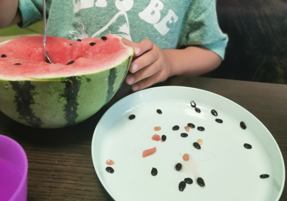 西瓜子是干垃圾還是濕垃圾 怎么區分西瓜子是什么垃圾