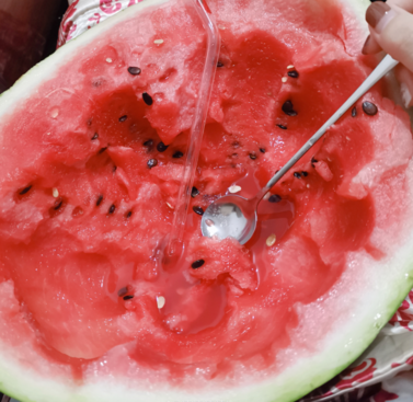 西瓜子是干垃圾還是濕垃圾 怎么區分西瓜子是什么垃圾