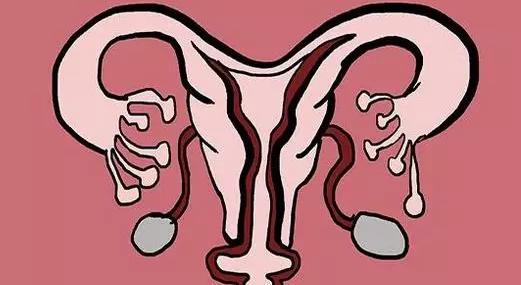 子宮內(nèi)膜太厚是什么原因 子宮內(nèi)膜太厚怎么辦 子宮內(nèi)膜太厚是什么原因 子宮內(nèi)膜太厚怎么辦