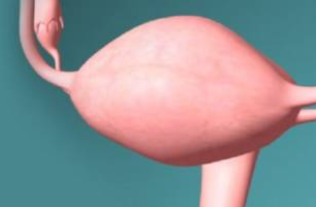 子宮內(nèi)膜太厚會怎么樣 子宮內(nèi)膜厚度不正常怎么辦