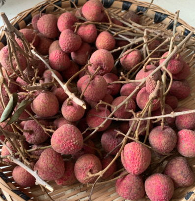 荔枝皮是干垃圾還是濕垃圾 荔枝皮是什么垃圾