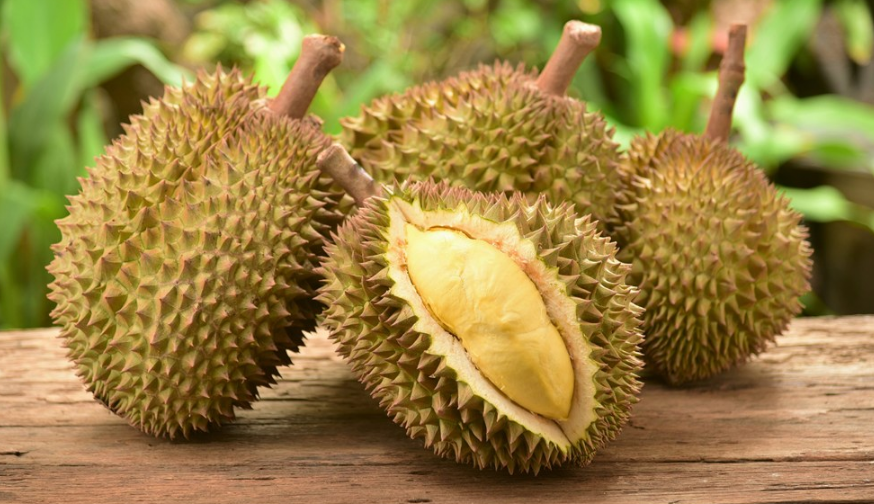 榴蓮殼是什么垃圾 榴蓮殼是干垃圾還是濕垃圾