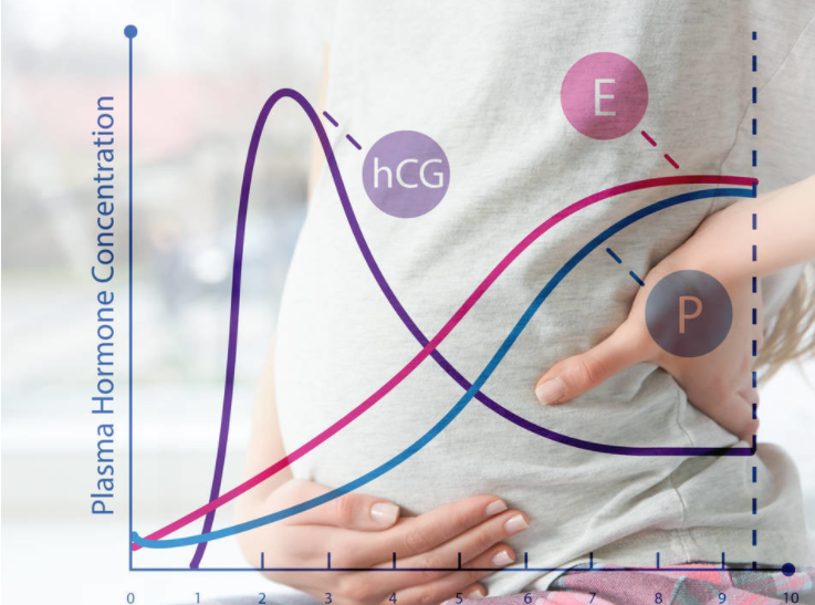 HCG下降多少是胎停了 HCG翻倍不好要保胎嗎 HCG下降多少是胎停了 HCG翻倍不好要保胎嗎