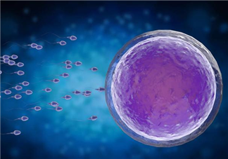 卵子排出是什么感覺 備孕期間吃什么補卵