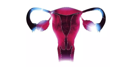 子宮內膜炎有哪些癥狀 子宮內膜炎怎么預防