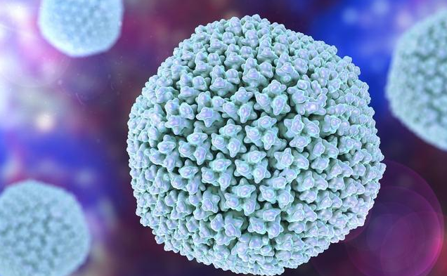 如何判斷腺病毒肺炎 哪些人群容易感染腺病毒