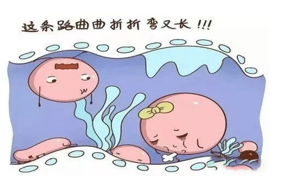 導致輸卵管堵塞的原因是什么 輸卵管堵塞可能是什么情況造成的 導致輸卵管堵塞的原因是什么 輸卵管堵塞可能是什么情況造成的