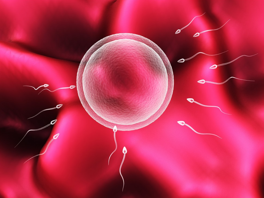 導致輸卵管堵塞的原因是什么 輸卵管堵塞可能是什么情況造成的 導致輸卵管堵塞的原因是什么 輸卵管堵塞可能是什么情況造成的