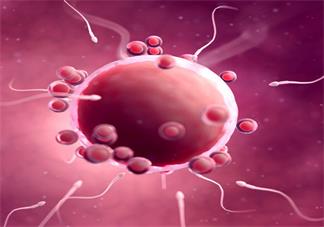 導(dǎo)致輸卵管堵塞的原因是什么 輸卵管堵塞可能是什么情況造成的