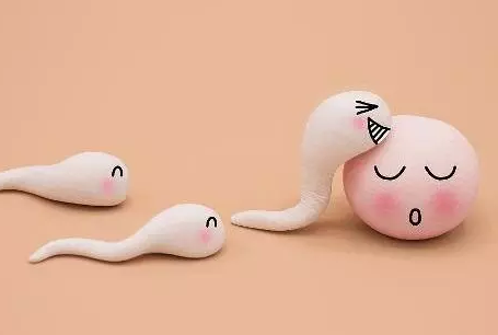 排空卵能不能懷孕呢 備孕排空卵是怎么回事