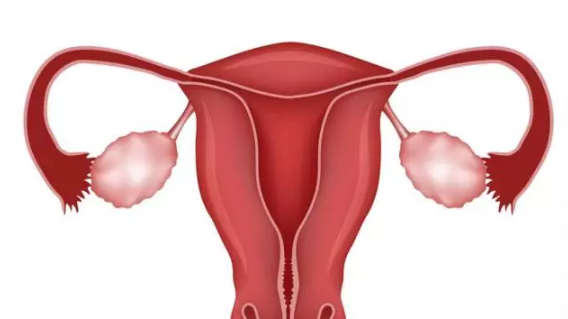 月經量少會導致不孕嗎 月經量少常見的原因有哪些 月經量少會導致不孕嗎 月經量少常見的原因有哪些