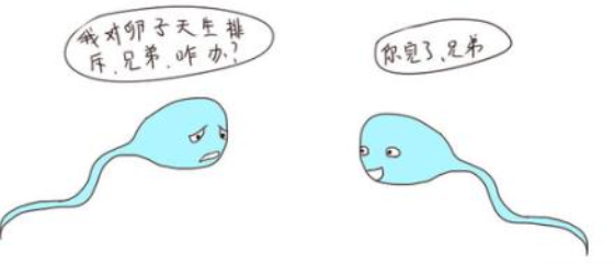 免疫性不孕的常見癥狀 免疫性不孕的癥狀有哪些