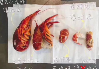 小龍蝦是干垃圾還是濕垃圾 小龍蝦殼是什么垃圾