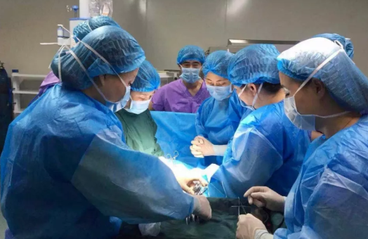 輸卵管間質(zhì)部妊娠怎么治療 輸卵管間質(zhì)部妊娠治療方式 輸卵管間質(zhì)部妊娠怎么治療 輸卵管間質(zhì)部妊娠治療方式