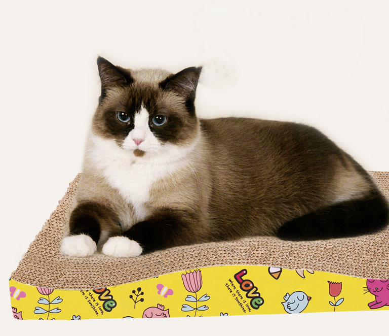 貓咪用的東西怎么區分干濕垃圾 貓貓用的東西是干垃圾還是濕垃圾 貓咪用的東西怎么區分干濕垃圾 貓貓用的東西是干垃圾還是濕垃圾