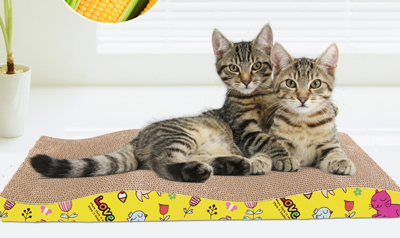 貓咪用的東西怎么區分干濕垃圾 貓貓用的東西是干垃圾還是濕垃圾 貓咪用的東西怎么區分干濕垃圾 貓貓用的東西是干垃圾還是濕垃圾