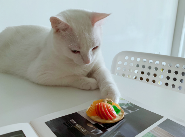 一夜未眠到天亮的說說 一夜未眠心情感慨 一夜未眠到天亮的說說 一夜未眠心情感慨