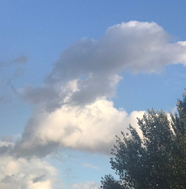 形容天氣涼爽的優美句子 關于夏天天氣涼爽說說朋友圈