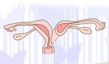 縱膈子宮可以懷孕嗎 縱膈子宮有的危害有哪些