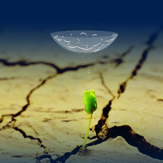 隱形眼鏡是干垃圾還是濕垃圾 怎么區分隱形眼鏡是什么垃圾 隱形眼鏡是干垃圾還是濕垃圾 怎么區分隱形眼鏡是什么垃圾