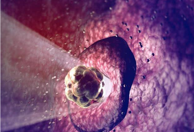 排卵期出血是怎么回事 排卵期出血會影響懷孕嗎 排卵期出血是怎么回事 排卵期出血會影響懷孕嗎