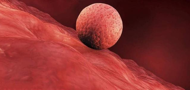 排卵期出血正常嗎 排卵期出血什么時(shí)候需要就醫(yī) 排卵期出血正常嗎 排卵期出血什么時(shí)候需要就醫(yī)